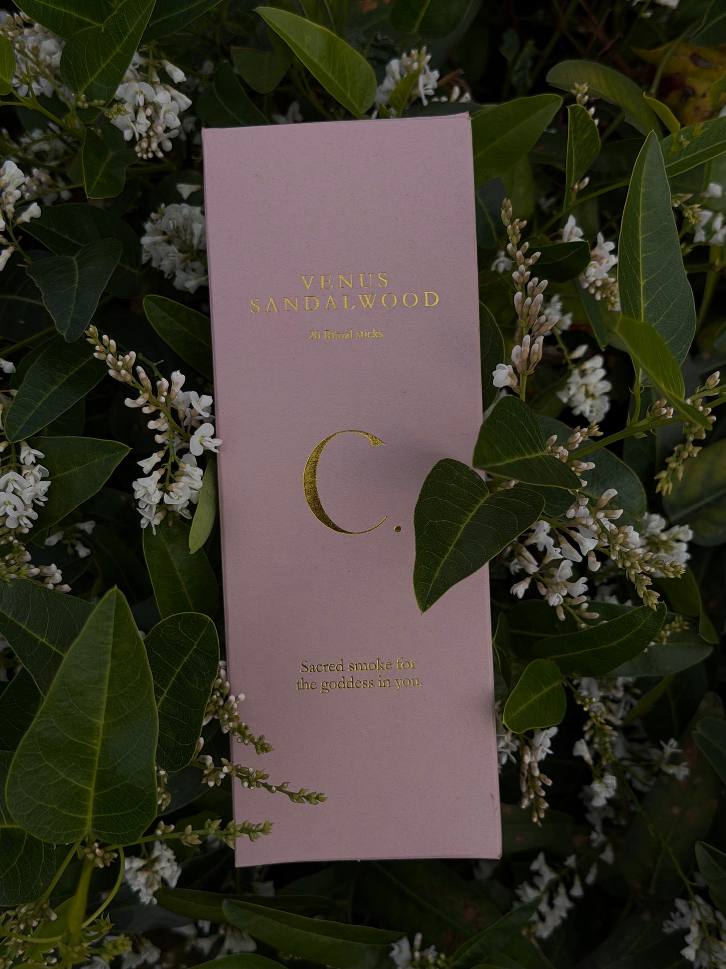 Venus Sandalwood Incense